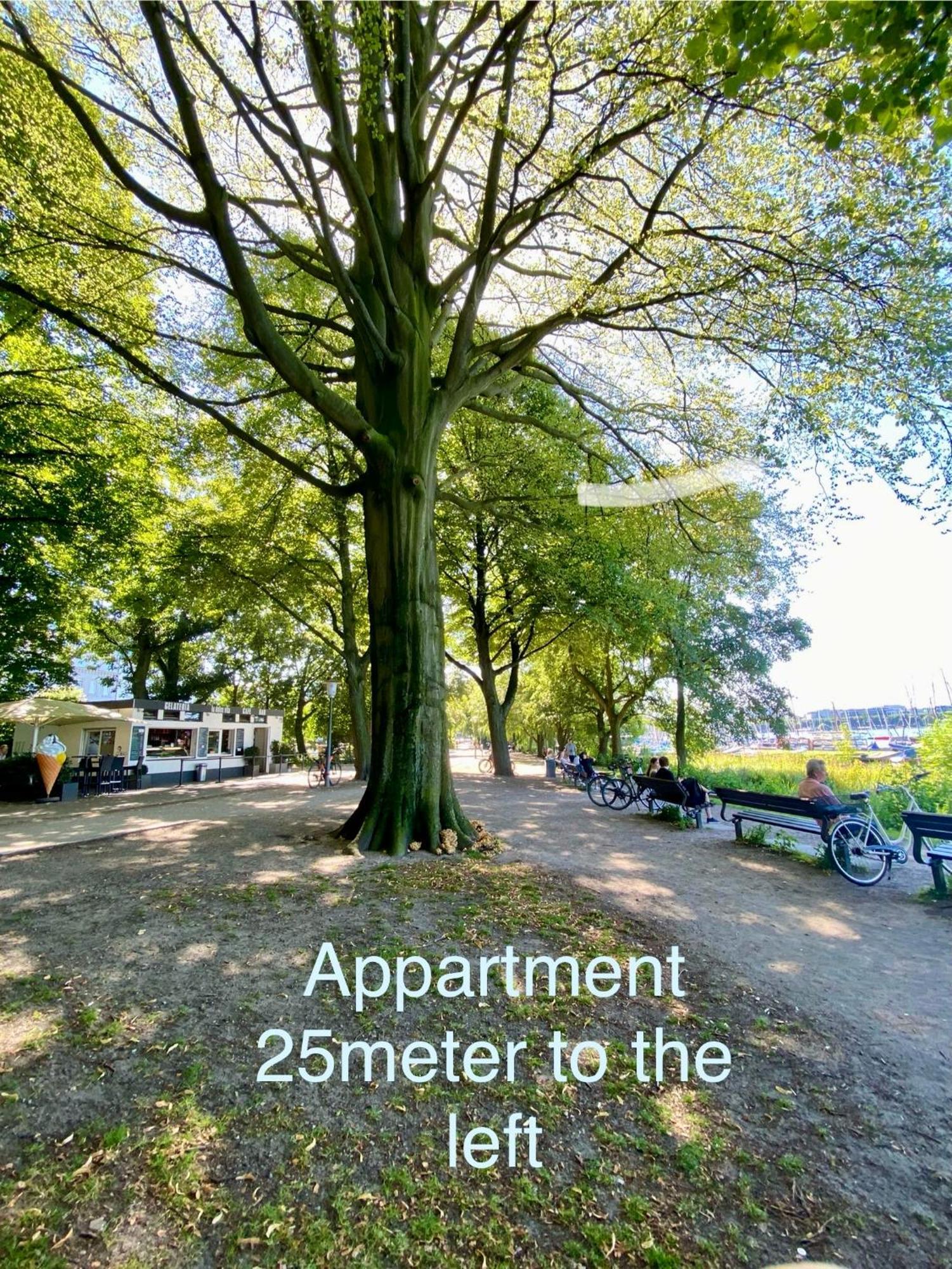 Apartment Im Herzen Hamburgs エクステリア 写真